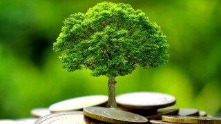 Carbon pricing is crucial to a green recovery